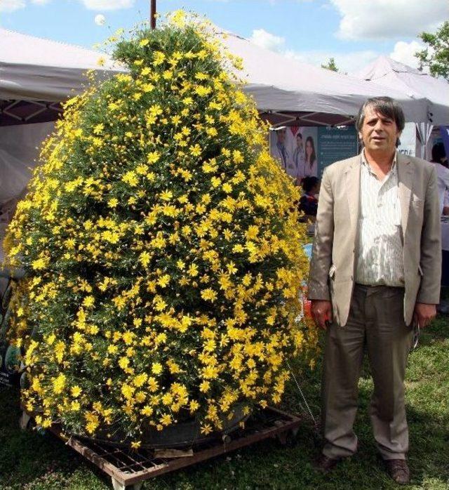 (özel Haber) Sebzeler Tarla Yerine Balkonda Yetişecek