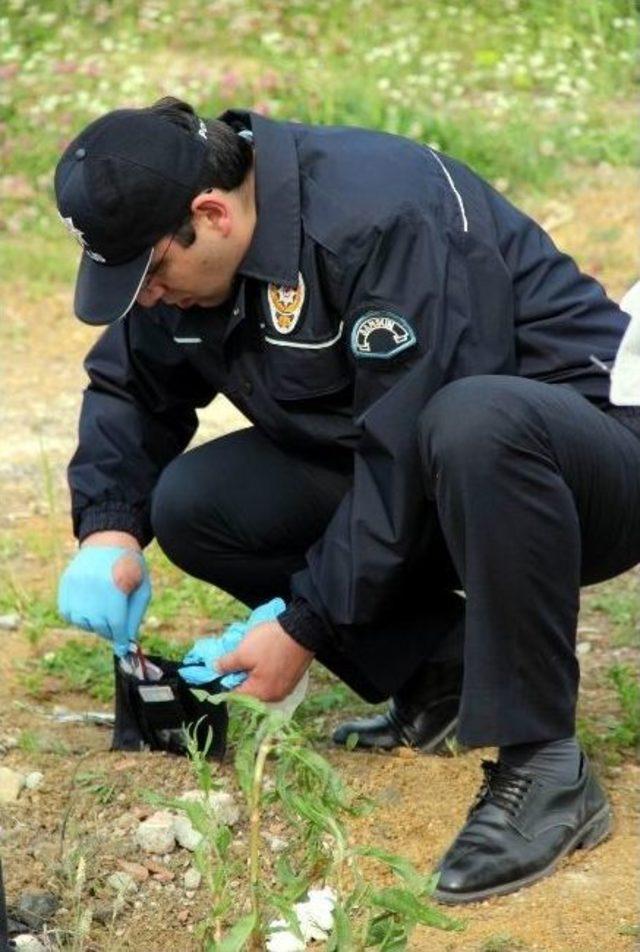 Kendini Denize Atarak İntihar Etti