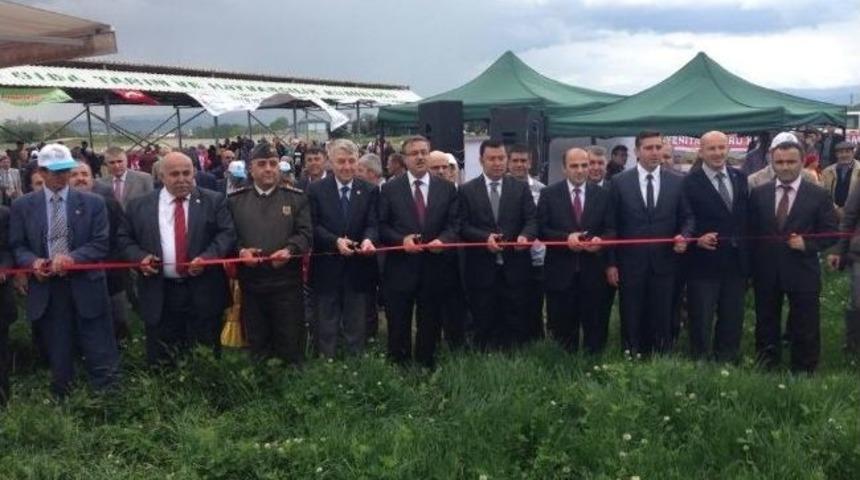 D&uuml;zce&rsquo;de Mera D&uuml;zenlenen T&ouml;renle A&ccedil;ıldı