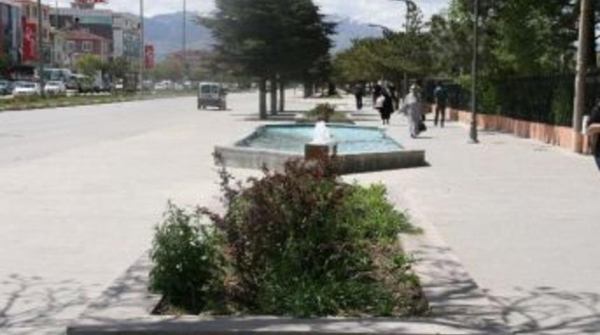 Sigorta Kavşağına &Ccedil;i&ccedil;ek Dikimi