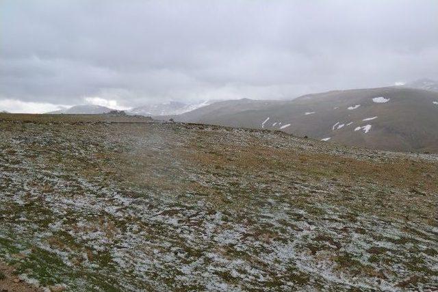 Ordu’nun Yüksek Kesimlerine Kar Yağdı