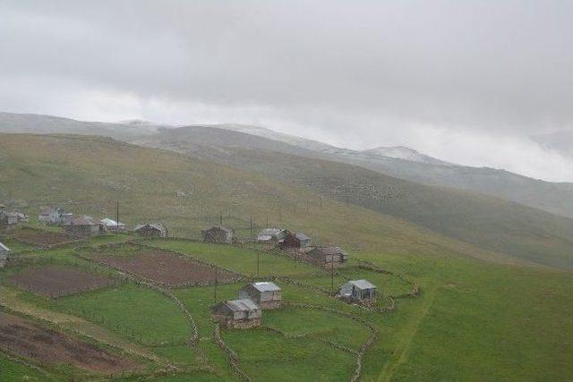 Ordu’nun Yüksek Kesimlerine Kar Yağdı