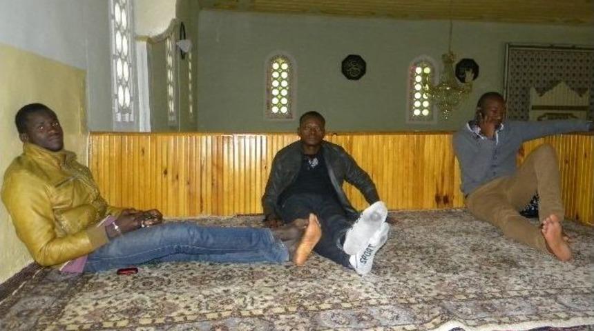 G&ouml;&ccedil;menler Camide Yaşıyor