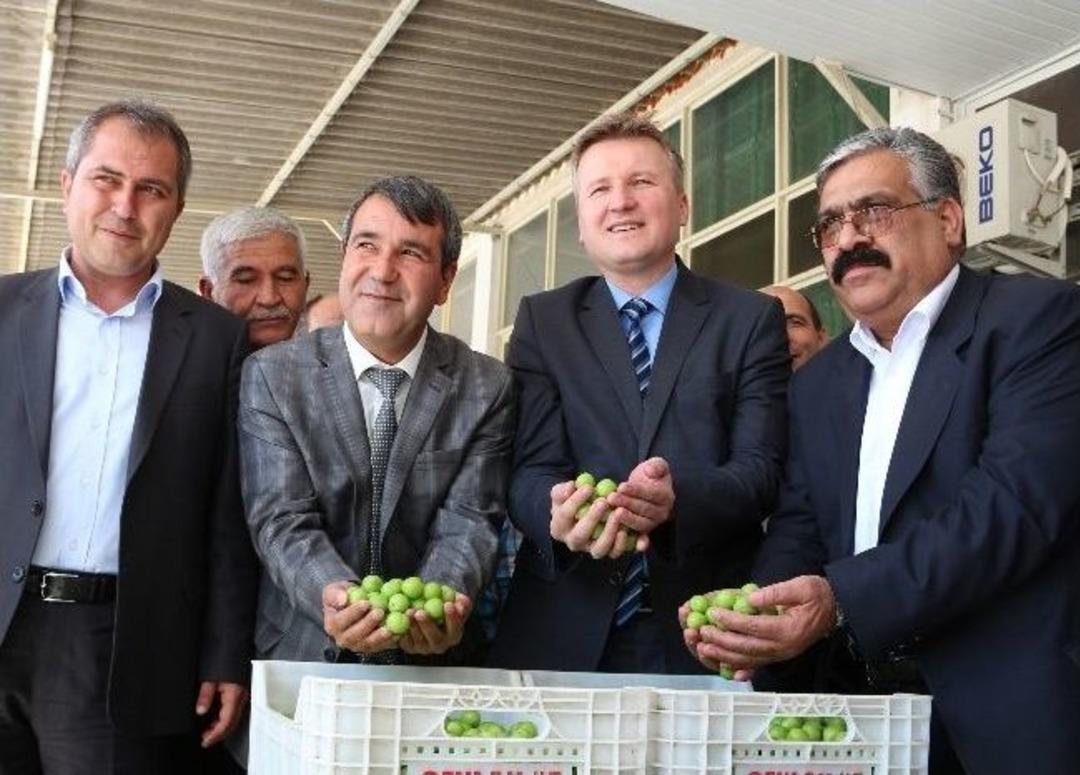 Erik Altın Yılını Yaşıyor