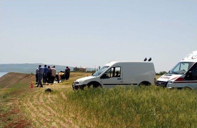 (özel Haber) Adıyaman’da Buğday Tarlası İçerisinde Erkek Cesedi Bulundu