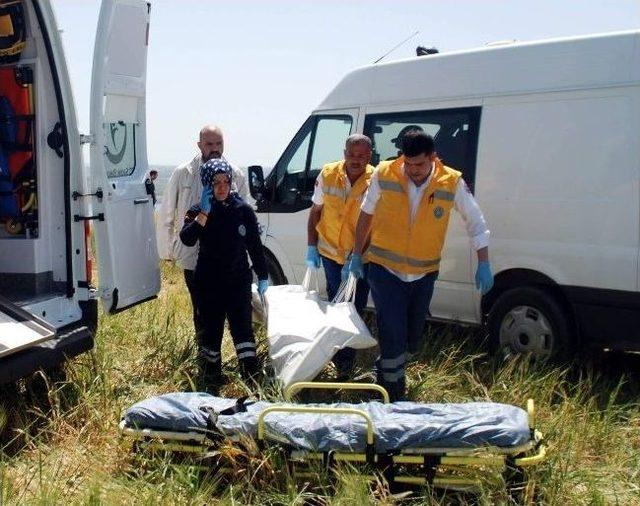 (özel Haber) Adıyaman’da Buğday Tarlası İçerisinde Erkek Cesedi Bulundu