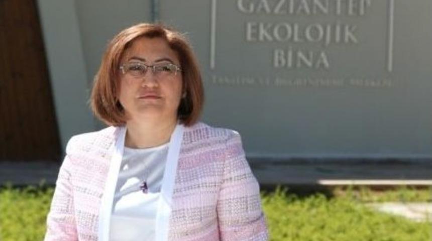 Antep Fıstığı Kabuğundan Enerji &Uuml;retilecek