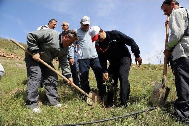 Ali Dağı nda Sağlıklı Yaşam Y&uuml;r&uuml;ş&uuml;y&uuml; 1