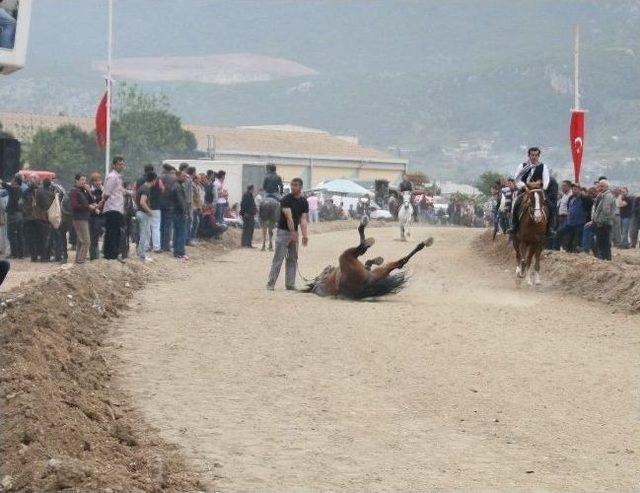 Rahvan Atlar İzmir&rsquo;de Boy G&ouml;sterdi 1