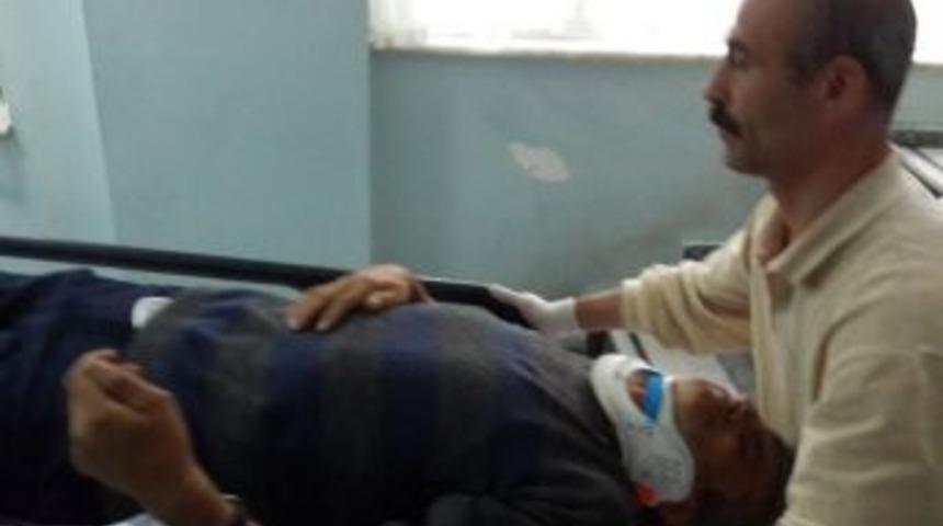 Erik Ağacından D&uuml;şen Adam Hastanelik Oldu