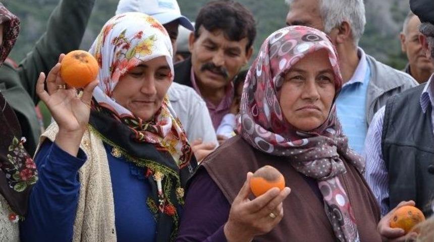 Antalya&rsquo;da Taş Ocakları Kapatılsın Eylemi