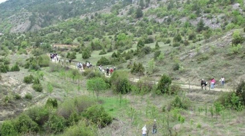 Boyabat Doğa Y&uuml;r&uuml;y&uuml;ş&uuml;ne &Ccedil;ıktı