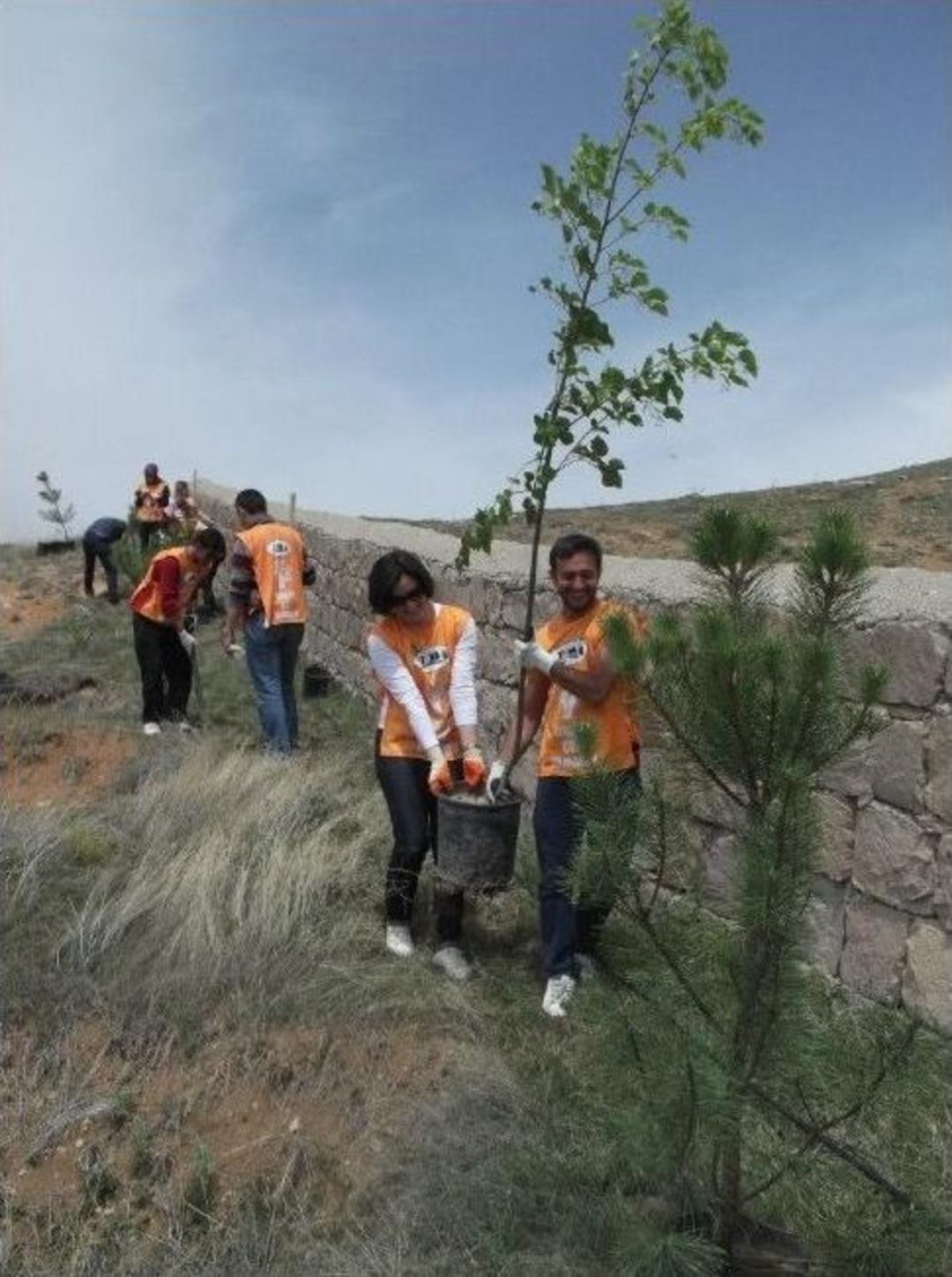 Tema Vakfı Kayseri G&ouml;n&uuml;ll&uuml;leri Tops&ouml;ğ&uuml;t K&ouml;y&uuml;&rsquo;ne Fidan Dikti