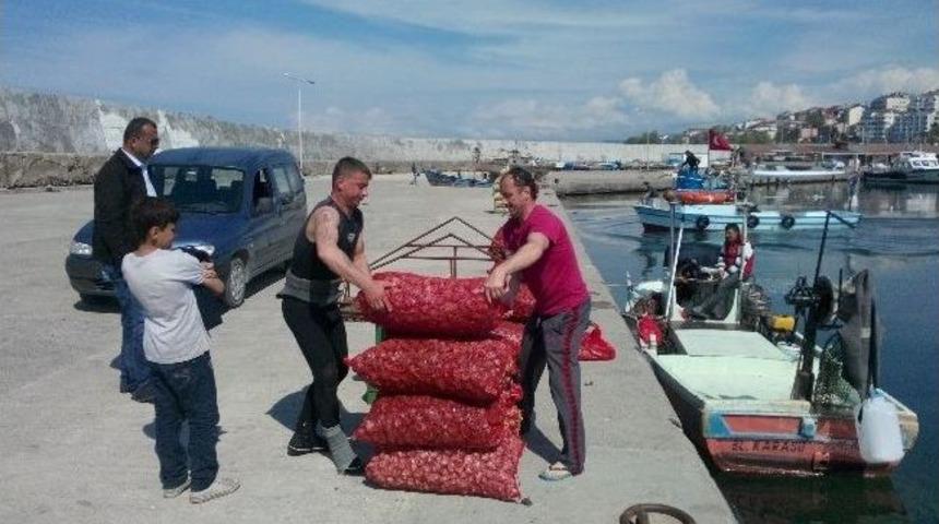 Deniz Salyangozu Balık&ccedil;ıların İkinci Ekmek Kapısı