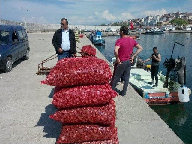 Deniz Salyangozu Balıkçıların İkinci Ekmek Kapısı