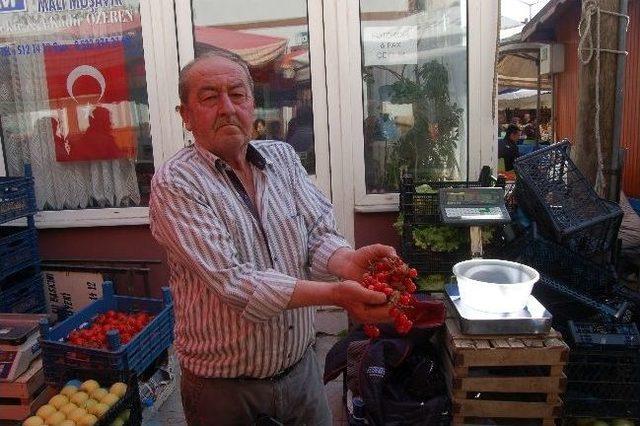 Lapseki Kirazı Halk Pazarına İndi 2