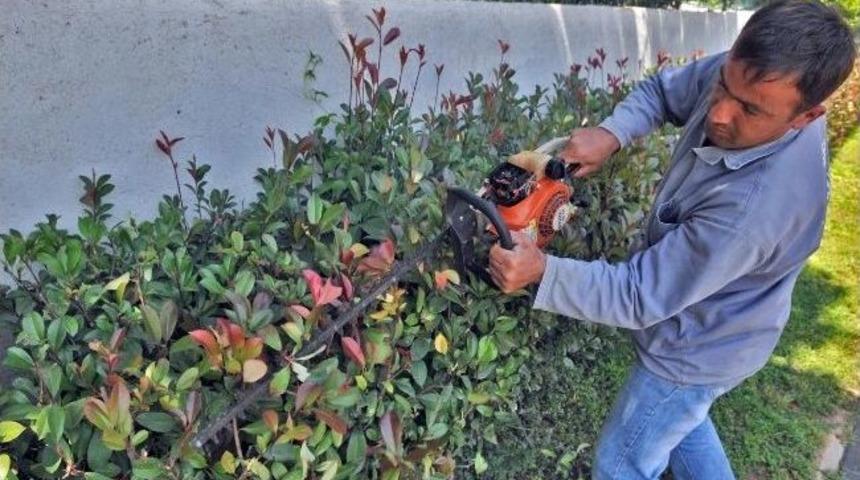 Kepez Yaza Hazırlanıyor