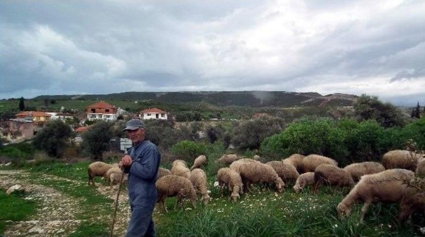 K&ouml;ylere Hizet G&ouml;t&uuml;rmede Belirsizlik