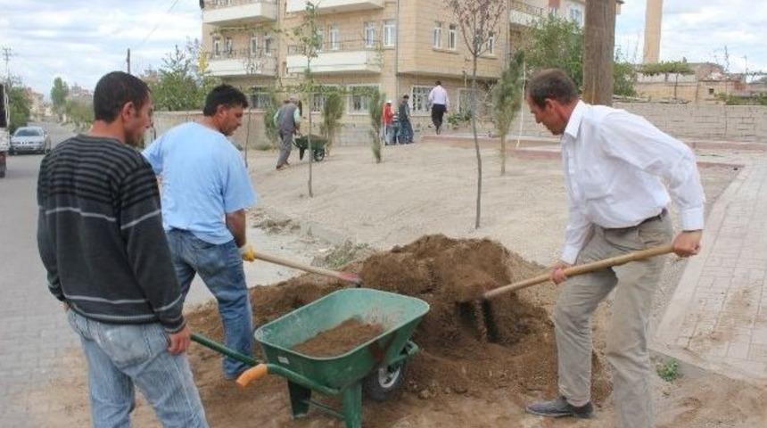S&uuml;mer Mahallesi Bir Park Daha Kazanıyor