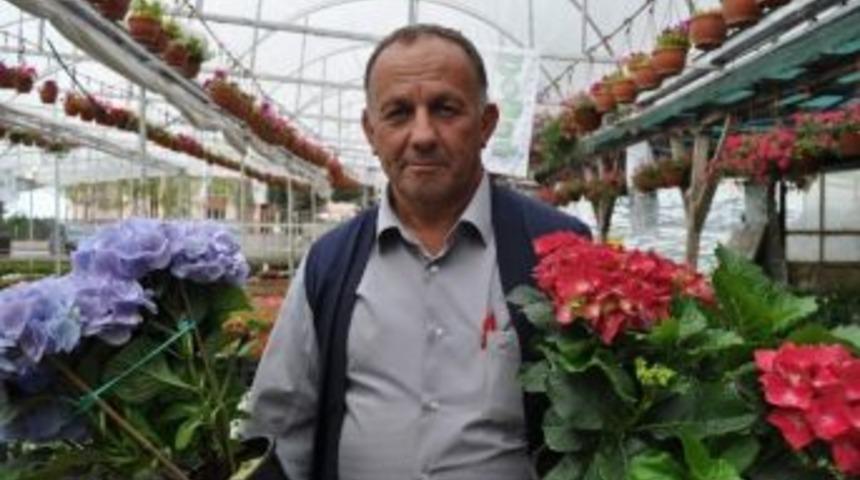 Bahar Geldi, Fide Satışları Arttı