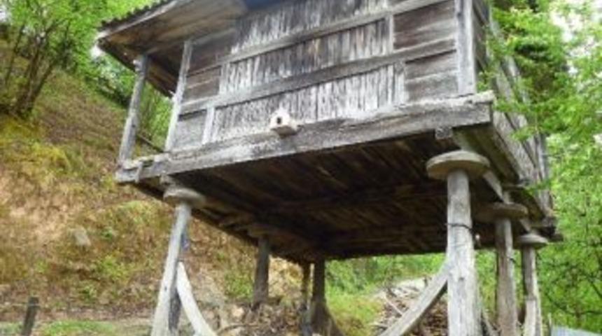 Doğu Karadenizli Serenderden Vazge&ccedil;miyor