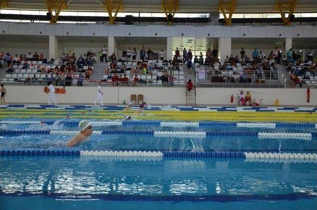 Anadolu Yıldızları Ligi Yüzme Final Yarışları Sakarya Da Yapıldı 2