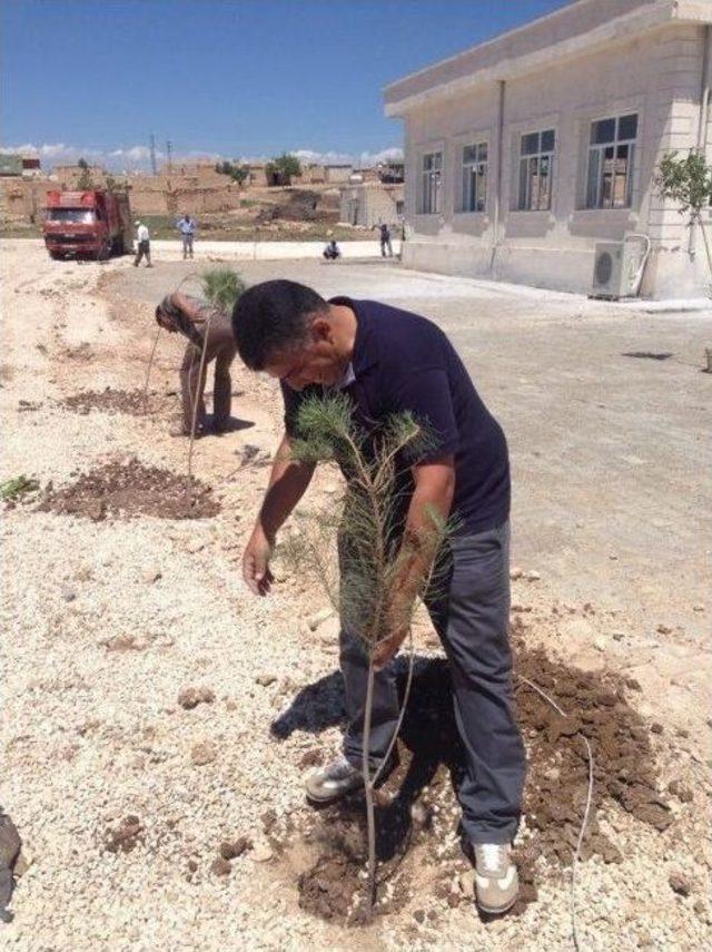 Muhtarlar Ve Stk Temsilcileri Bir Araya Gelerek Köylerde Fidan Dikti