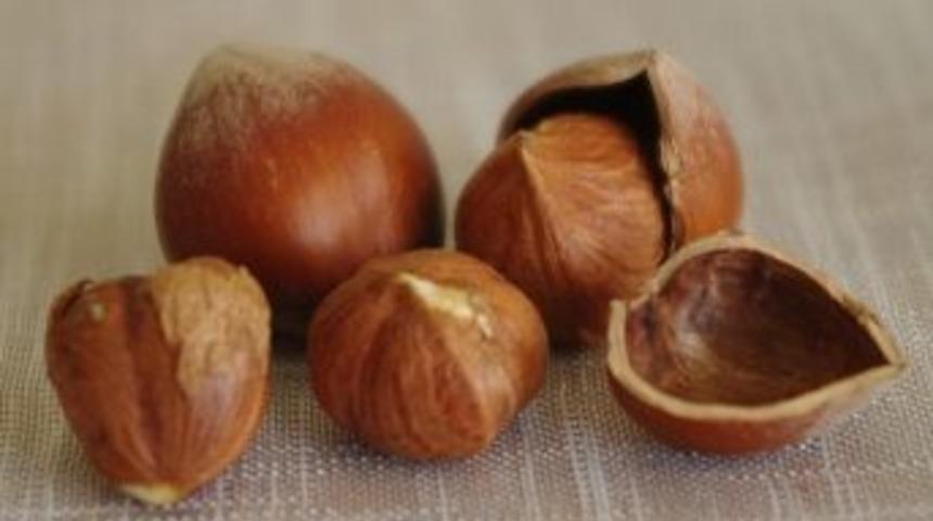 Fındık İhracatından Büyük Kazanç