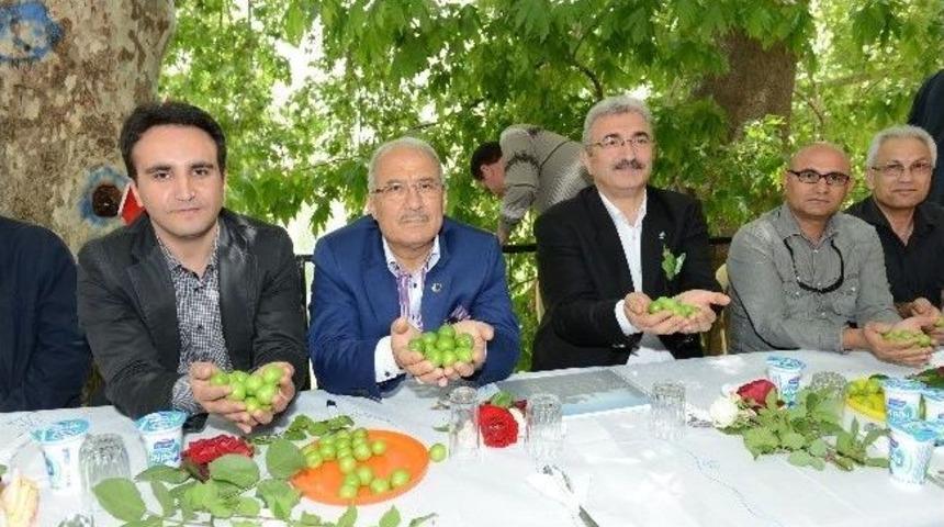 Başkan Kocamaz, Erik Festivali&rsquo;ne Katıldı