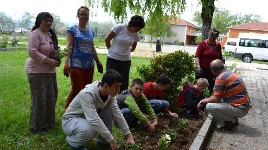 G&ouml;rme Engelliler &Ccedil;i&ccedil;ek Ekti