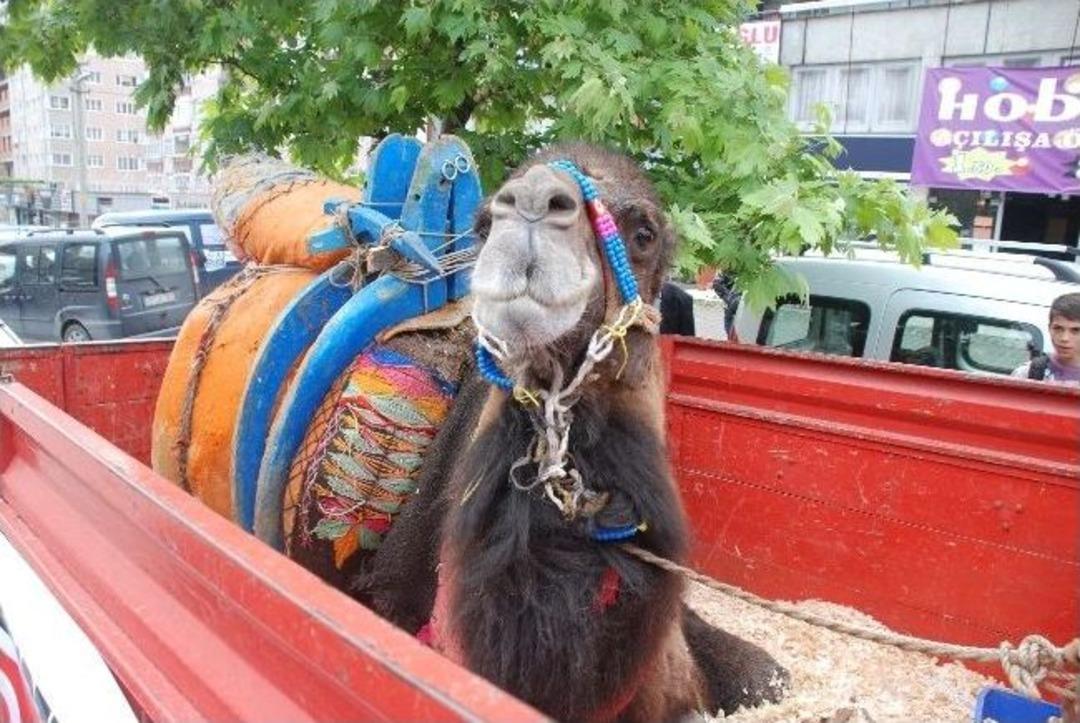 Kdz. Ereğli&rsquo;de 'develi Kermes' A&ccedil;ıldı