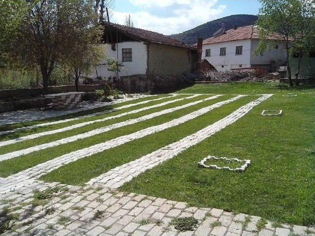 Eski Tabutlar Modern Kuş Yuvalarına Dönüştü 2