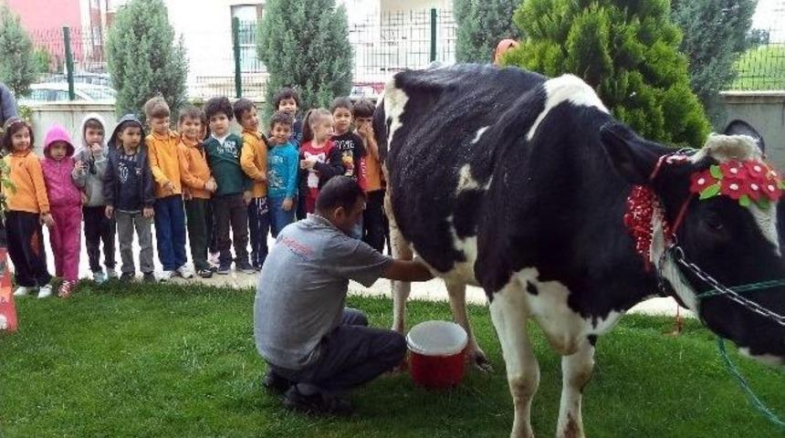 &Ccedil;ocuklara Uygulamalı Eğitim