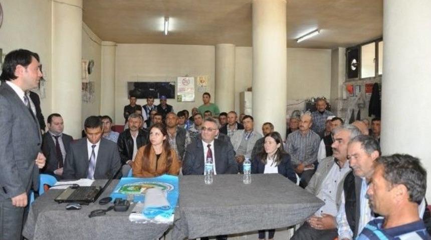 Manisalı &Ccedil;ift&ccedil;iler Bağda Kimyasal M&uuml;cadeleye Karşı Biyoteknik M&uuml;cadele Y&ouml;ntemini Uyguluyor