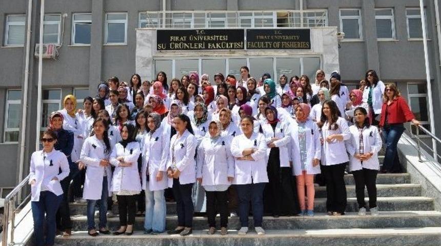 Ebeler 'hemşire-ebe' Ayrımı İstiyor