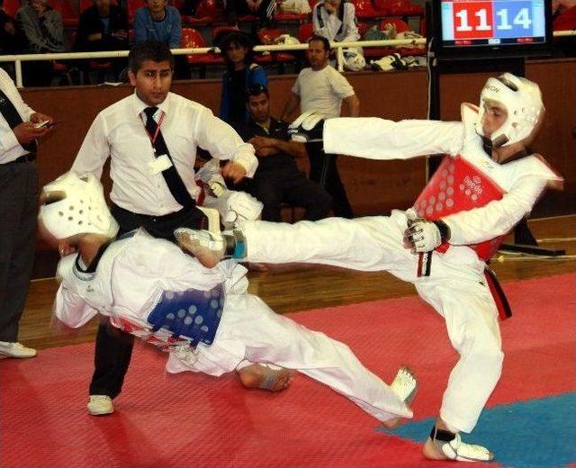 Anadolu Yıldızlar Taekwondo Türkiye Şampiyonası