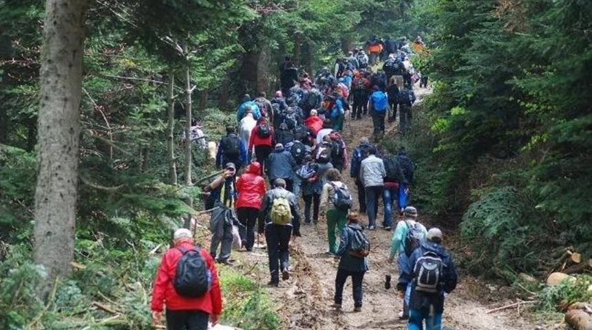 Yaylada Y&uuml;r&uuml;d&uuml;ler