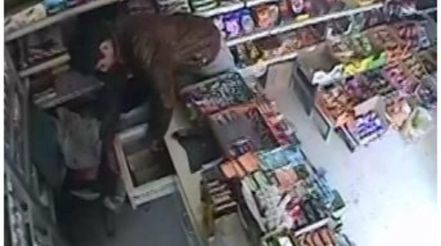 Market Fareleri Kameraya Yakalandı