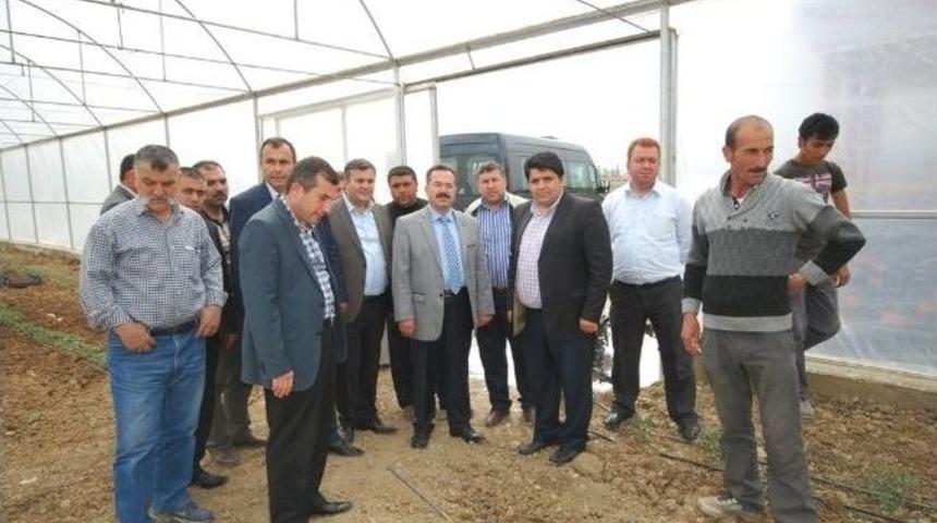 Başkan Acehan, Sebze Seralarını İnceledi