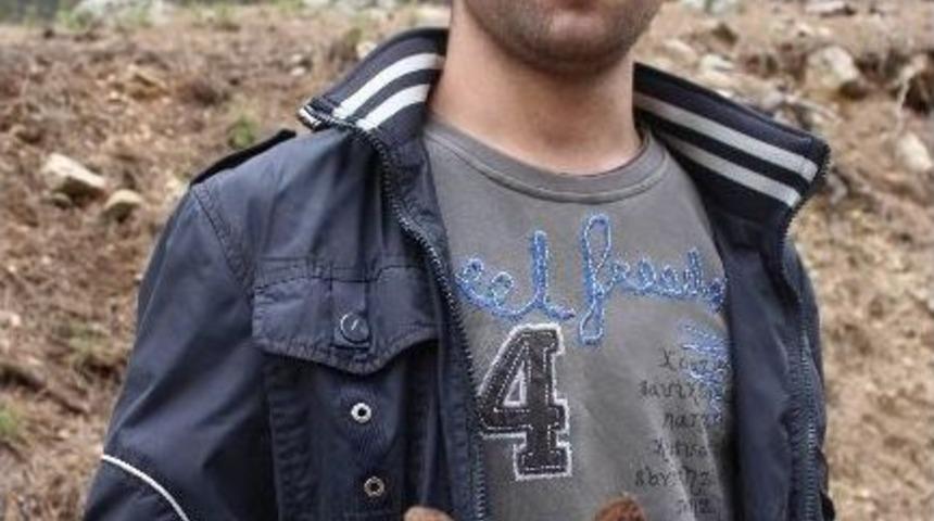 Kuzug&ouml;beği Hasadı Başladı