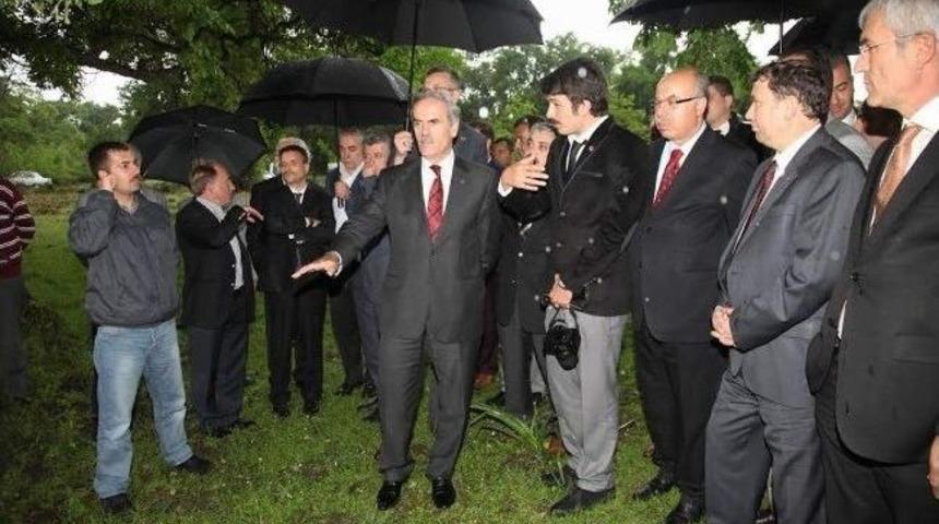 Karacabey Longozu Turizme A&ccedil;ılıyor