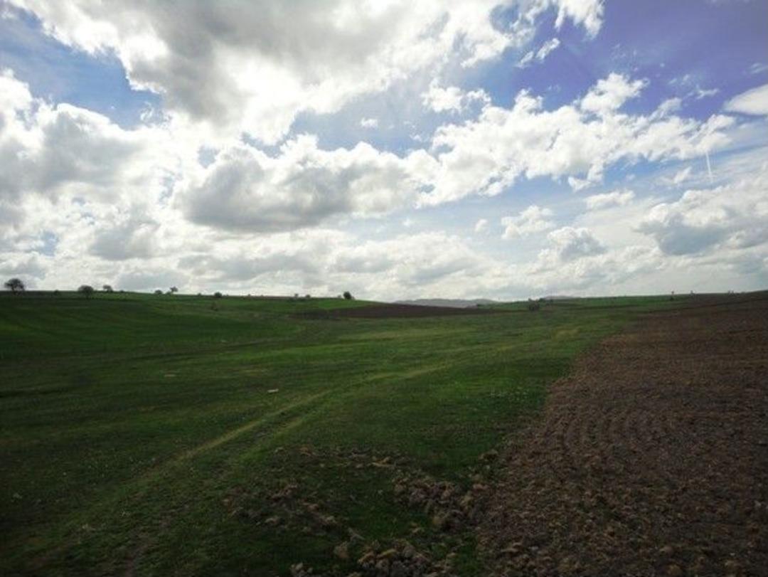 Havza&rsquo;da Mera Islahı &Ccedil;alışması