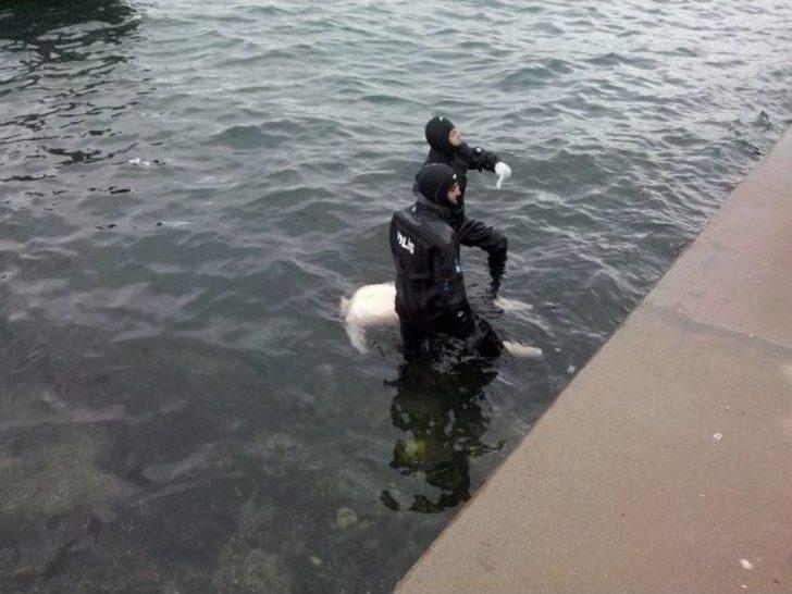 (özel Haber) Beşiktaş'ta Denizden Erkek Cesedi Çıkarıldı G3