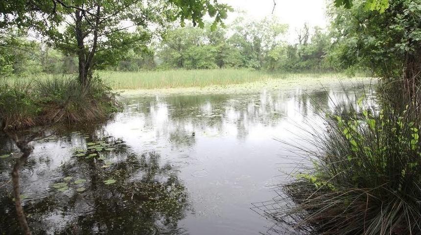 "Karacabey Longozu" Turizme A&ccedil;ılıyor