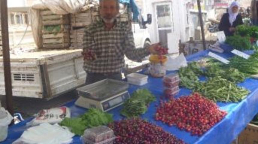 Bilecik&rsquo;te Yılın İlk Yerli Turfanda Kirazı Satışa &Ccedil;ıktı