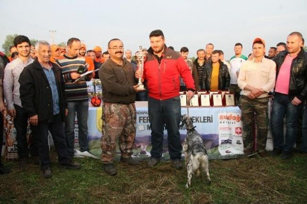 Adapazarı Belediyesi Fermalı K&ouml;peklerde Rekor Kırdı