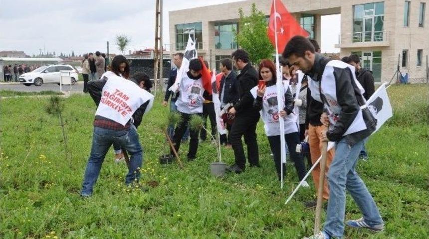 Deniz Gezmiş Ve Arkadaşları İ&ccedil;in 3 Fidan Dikildi