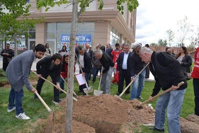 Chp’li Gençler, Deniz Gezmiş Ve Arkadaşlarının Anısına 3 Ağaç Dikti