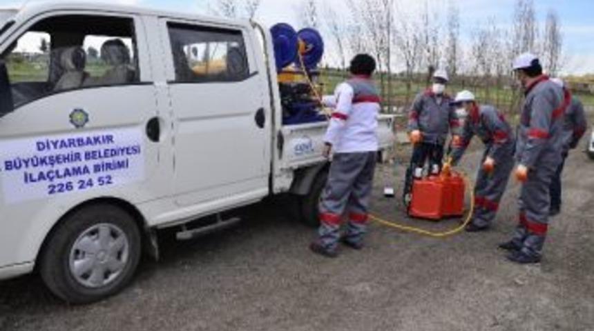 Diyarbakır&rsquo;da Zararsız B&ouml;ceklerle M&uuml;cadele Y&uuml;r&uuml;t&uuml;lm&uuml;yor