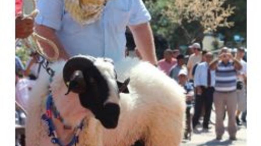 T&uuml;rkiye&rsquo;nin İlk Ve Tek &lsquo;&lsquo;canlı Besi Hayvan Fuarı&rsquo;&rsquo; İzmir&rsquo;de D&uuml;zenleniyor